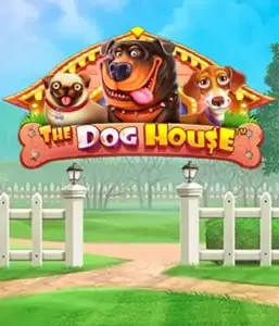 From Pragmatic Play comes The Dog House adventure, featuring an adorable experience into the world of playful pups. Discover features including sticky wilds, aimed at providing joyful moments. Perfect for animal enthusiasts an amusing setting and the opportunity to win big.