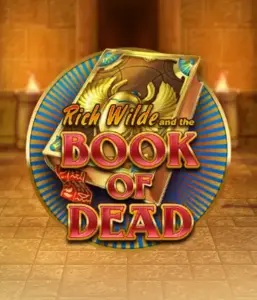 Enter the thrilling world of Book of Dead Slot by Play'n GO, featuring vivid graphics of Rich Wilde’s adventurous journey through ancient Egyptian tombs and artifacts. Discover lost riches with exciting mechanics like free spins, expanding icons, and a gamble option. Ideal for those seeking adventure with a desire for unearthing secrets.